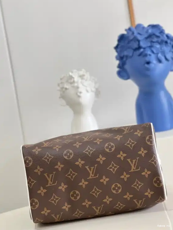 VUITTON 25 LOUIS SPEEDY BANDOULIÈRE 0512